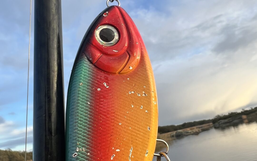 Makalöst gäddfiske på Åland – 106 gäddor i båten den 17 oktober!